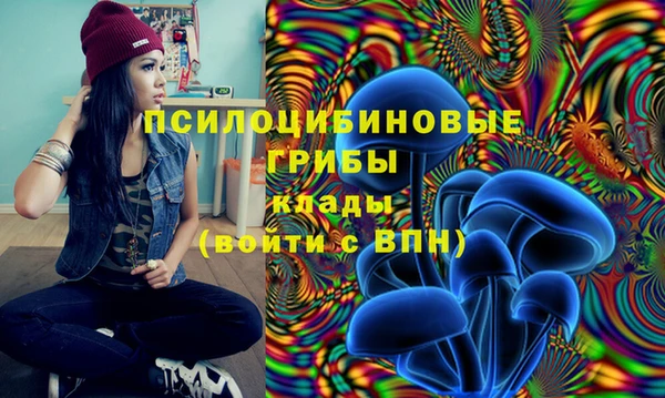 гашик Балабаново