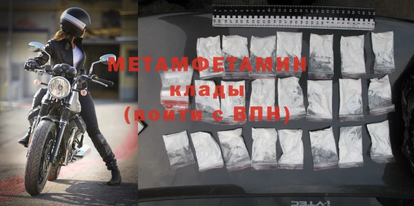 шишки Пестово